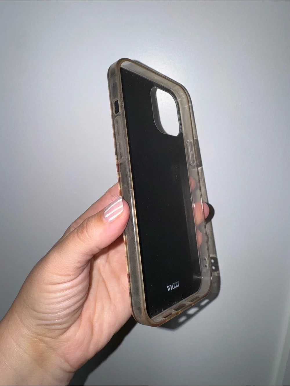 Walli iPhone 12 Pro Max case
